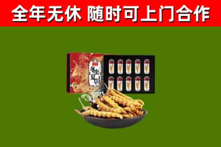 鸡东回收冬虫夏草价格